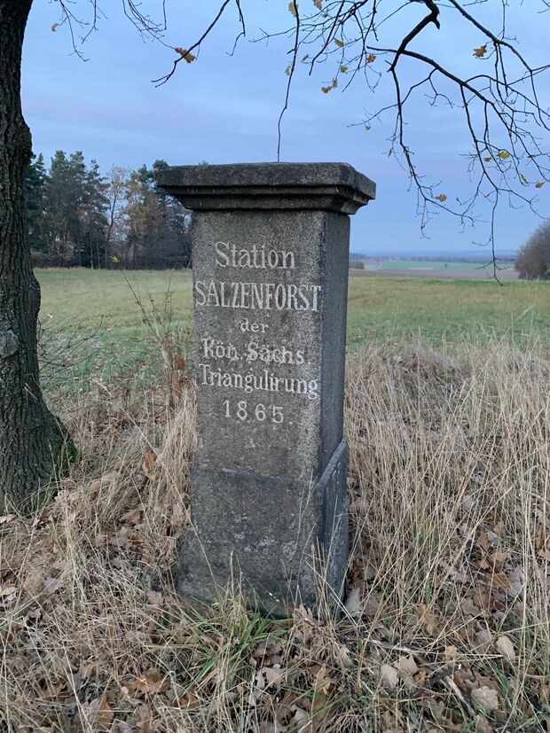 Triangulationspfeiler Salzenforst 1865, Foto: Privat