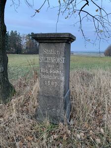 Triangulationspfeiler Salzenforst 1865, Foto: Privat