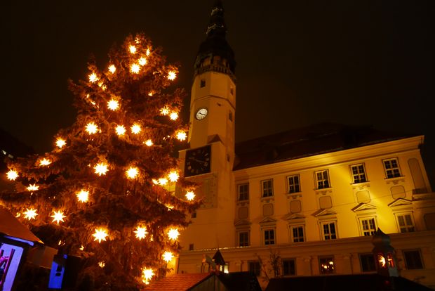 bei Nacht- beleuchtetes Rathaus und der mit Herrnhutersternen geschmückte Weihnachtsbaum