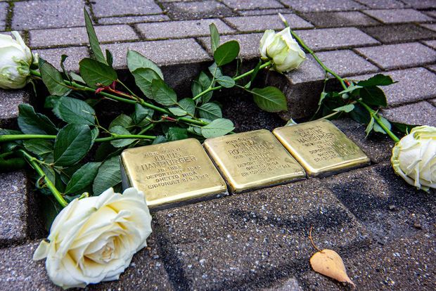 Stolpersteine der Familie Hamburger Stolpersteine, darum weiße Rosen