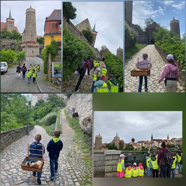 photocollage_202661514540941
