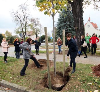Baumpflanzaktion: 25 Jahre Frauenschutzhaus