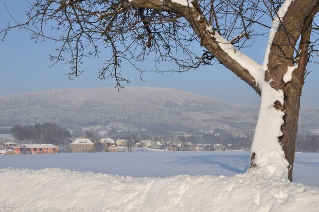 Winterblick auf den Czorneboh von Cunewalde