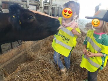 WhatsApp_Image_2025-05-06_at_09