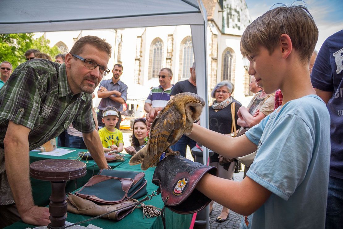 Bautzener_Fruehlingsimpression_-_Tag_der_Vereine