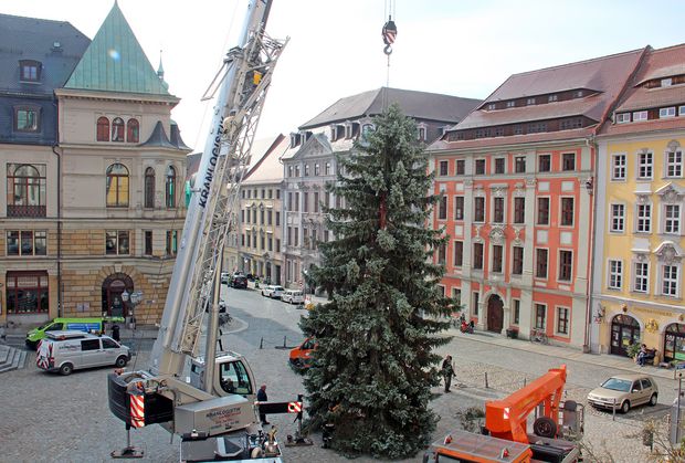Auf dem Hauptmarkt vor dem Rathaus stellen Mitarbeiter der BBB den diesjährige Weihnachtsbaum auf.