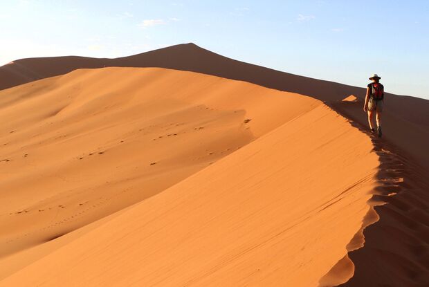 Dünenkamm © Birgit Nakamhela