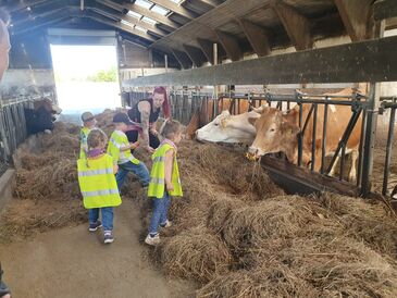 WhatsApp_Image_2025-05-06_at_08