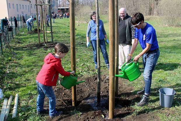 Baumpflanzung auf Porsches Wiesen Mädchen in roter Jacke und Junge in blauem T-Shirt gießen neugepflanzten Baum auf grüner Wiese