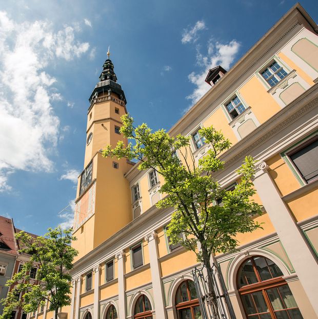 Rathaus Gelbes Gebäude mit einem Turm, darüber blauer Himmel