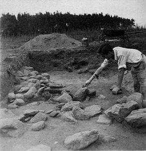 Schwarzweißfoto der Grabungen in den 50er Jahren in Niederkaina: zu sehen ist ein freigelegtes Grab mi keramischen Grabbeigaben und ein Mann der es gerade ausgräbt.