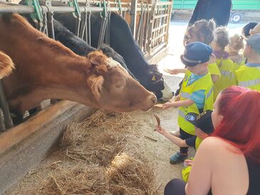 WhatsApp_Image_2025-05-06_at_08