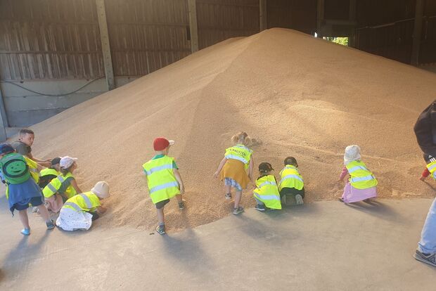 Vom Korn zum Brot © Stadtverwaltung