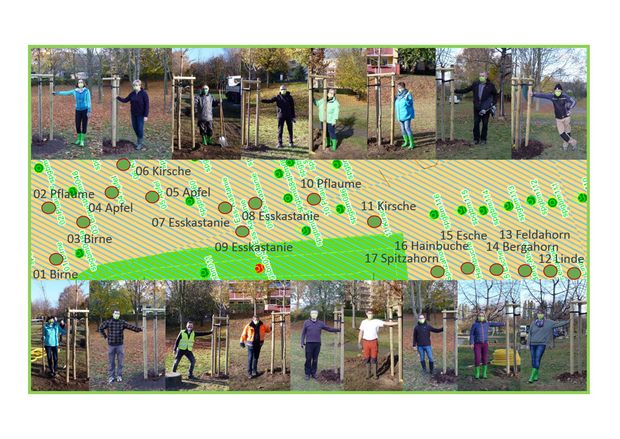 Baumpflanzung Collage aus Personen welche einen Baum geplanzt haben