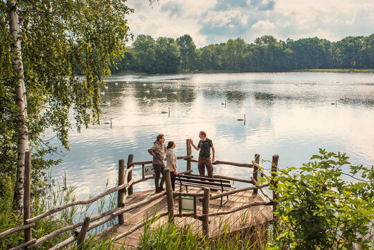 Wanderer mit Ranger Zwei Wanderer mit einem Ranger am Teich