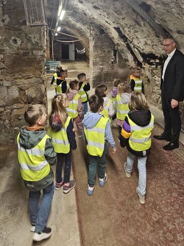 WhatsApp_Image_2025-05-12_at_09