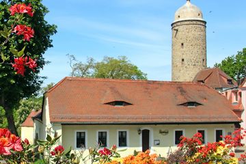 Azaleen in orange, rot und gelb im Vordergrund – im Hintergrund gelbes Gebäude und steinener Turm (Neue Wasserkunst) und blauer Himmel 