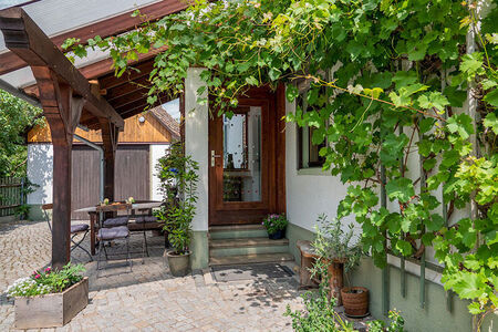 Hauseingang mit Überdachung, links Sitzgruppe, am Haus wächst Wein