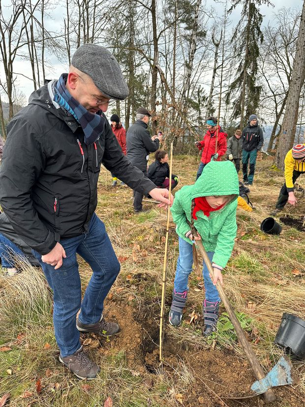 Tag des Bautzener Stadtwaldes 2024 Mann hält den zu pflanzenden Baum fest. Mädchen füllt das Pflanzloch mit Erde auf.