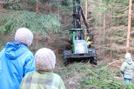 Tag des Stadtwaldes Tag des Stadtwaldes,Personen im Wald