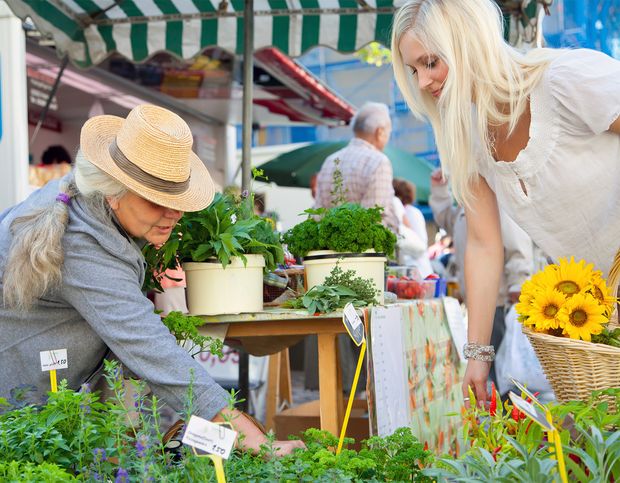 Frau mit Strohhut verkauft auf dem Wochenmarkt Grünpflanzen an eine junge Frau
