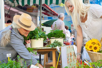 Frau mit Strohhut verkauft auf dem Wochenmarkt Grünpflanzen an eine junge Frau
