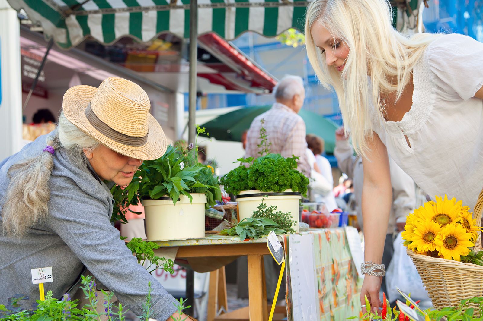 Einkaufen auf dem Grünmarkt Frau mit Strohhut verkauft auf dem Wochenmarkt Grünpflanzen an eine junge Frau