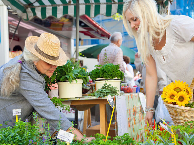 Einkaufen auf dem Grünmarkt Frau mit Strohhut verkauft auf dem Wochenmarkt Grünpflanzen an eine junge Frau