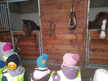 WhatsApp_Image_2025-05-06_at_09