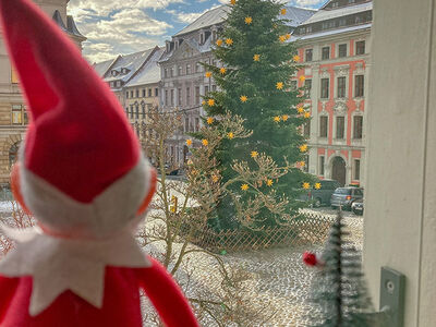 Weihnachtself Jarle Weihnachtself schaut aus Fenster, in der Ferne Weihnachtsbaum mit gelben Sternen
