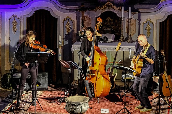 dreifarbenblau © Ingo Ulbricht